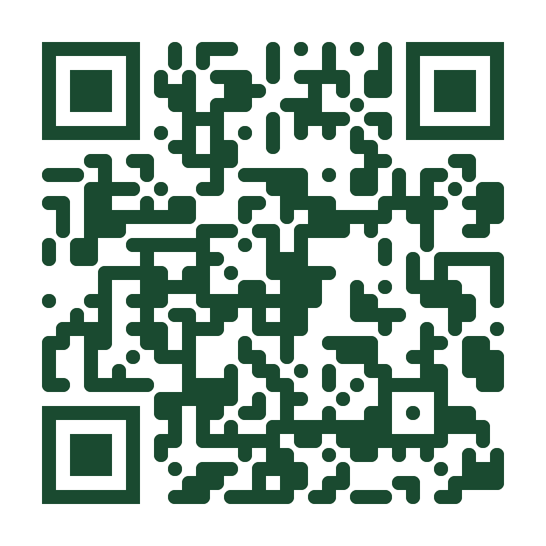 Puzzle Pin — Scrypt QR Sigil